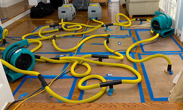 Professional Water Damage Repair technician working in Belford, NJ